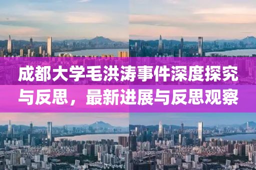 成都大学毛洪涛事件深度探究与反思，最新进展与反思观察