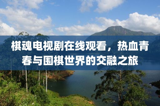 棋魂电视剧在线观看，热血青春与围棋世界的交融之旅