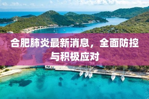 合肥肺炎最新消息，全面防控与积极应对