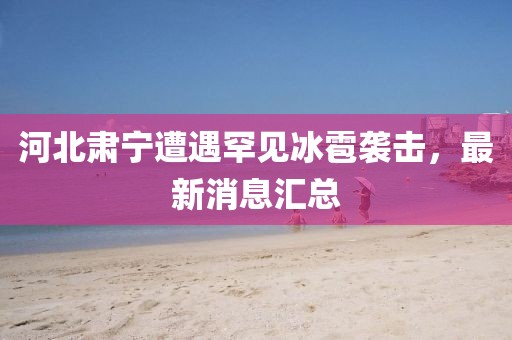 河北肃宁遭遇罕见冰雹袭击，最新消息汇总