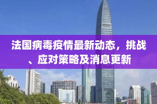 法国病毒疫情最新动态，挑战、应对策略及消息更新