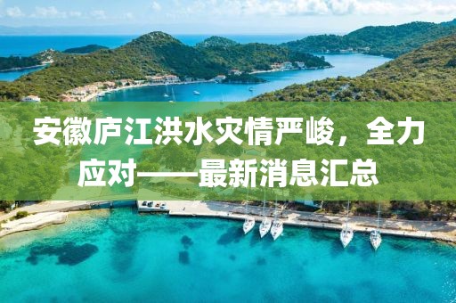 安徽庐江洪水灾情严峻，全力应对——最新消息汇总