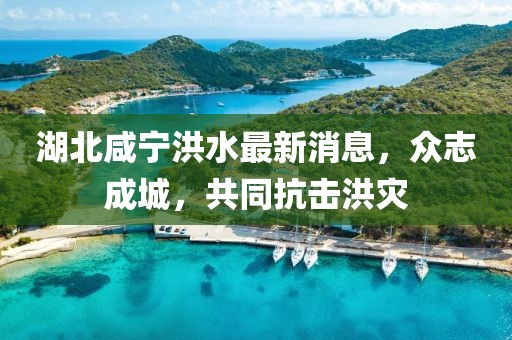 湖北咸宁洪水最新消息，众志成城，共同抗击洪灾