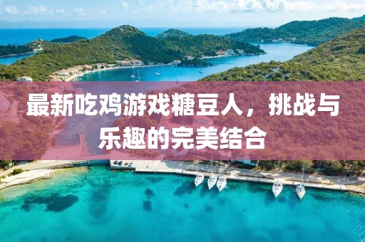最新吃鸡游戏糖豆人，挑战与乐趣的完美结合