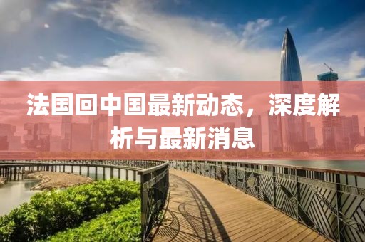 法国回中国最新动态，深度解析与最新消息