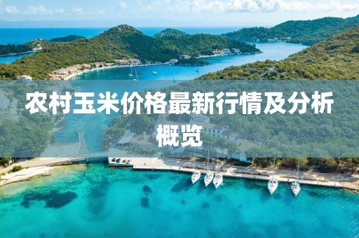 农村玉米价格最新行情及分析概览