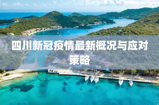四川新冠疫情最新概况与应对策略