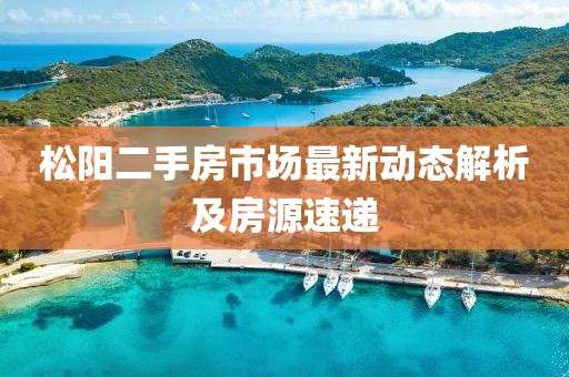 松阳二手房市场最新动态解析及房源速递