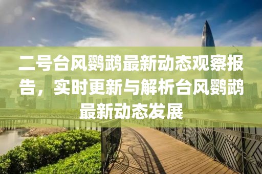二号台风鹦鹉最新动态观察报告，实时更新与解析台风鹦鹉最新动态发展
