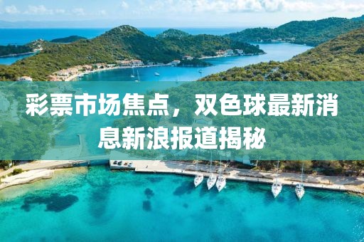 彩票市场焦点，双色球最新消息新浪报道揭秘