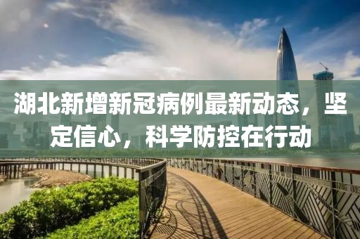 湖北新增新冠病例最新动态，坚定信心，科学防控在行动