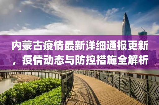 内蒙古疫情最新详细通报更新，疫情动态与防控措施全解析