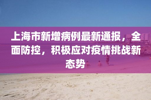 上海市新增病例最新通报，全面防控，积极应对疫情挑战新态势