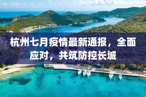 杭州七月疫情最新通报，全面应对，共筑防控长城