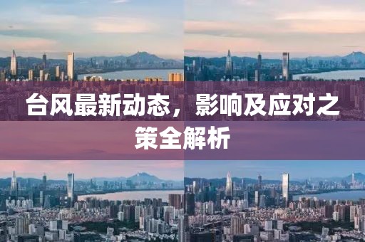 台风最新动态，影响及应对之策全解析