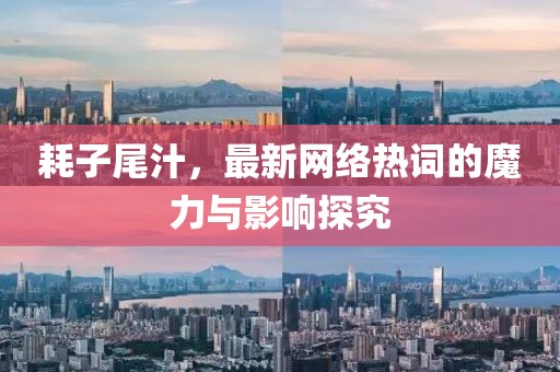 耗子尾汁，最新网络热词的魔力与影响探究