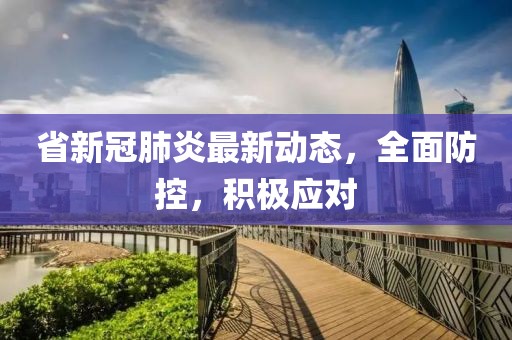 省新冠肺炎最新动态，全面防控，积极应对