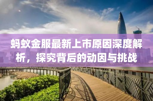 蚂蚁金服最新上市原因深度解析，探究背后的动因与挑战