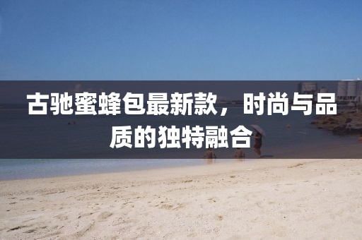 古驰蜜蜂包最新款，时尚与品质的独特融合
