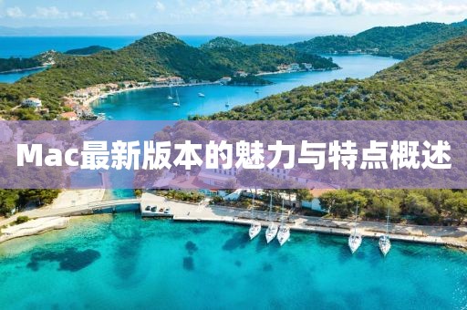 抗之桃 第5页
