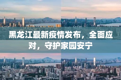 黑龙江最新疫情发布，全面应对，守护家园安宁