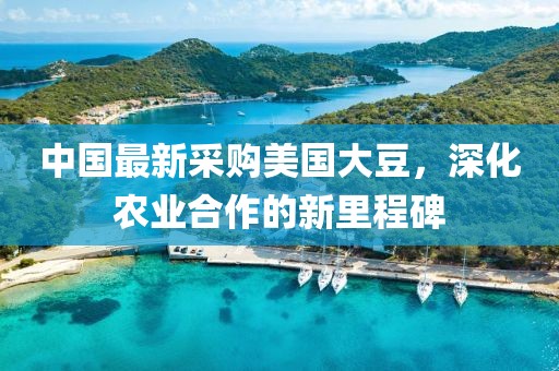 路媚 第5页