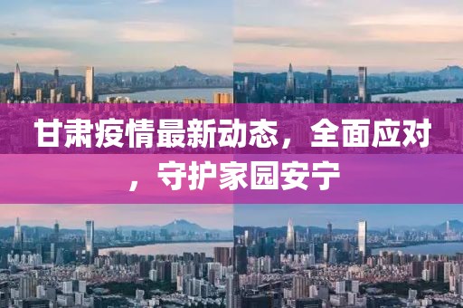 甘肃疫情最新动态，全面应对，守护家园安宁