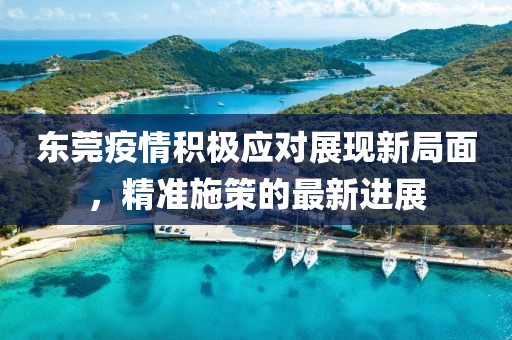 东莞疫情积极应对展现新局面，精准施策的最新进展