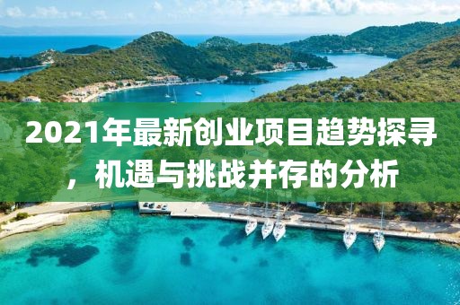 2021年最新创业项目趋势探寻，机遇与挑战并存的分析