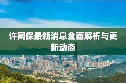 许网保最新消息全面解析与更新动态