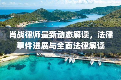 肖战律师最新动态解读，法律事件进展与全面法律解读