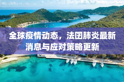 全球疫情动态，法囝肺炎最新消息与应对策略更新