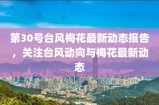 第30号台风梅花最新动态报告，关注台风动向与梅花最新动态