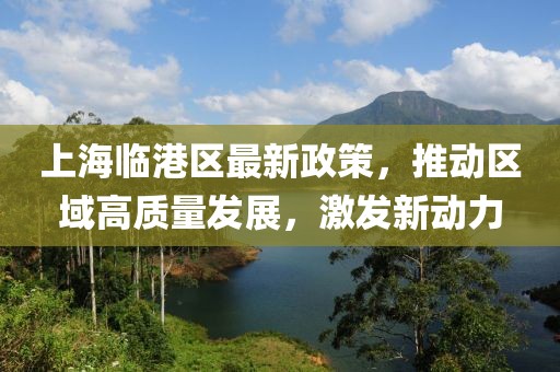上海临港区最新政策，推动区域高质量发展，激发新动力