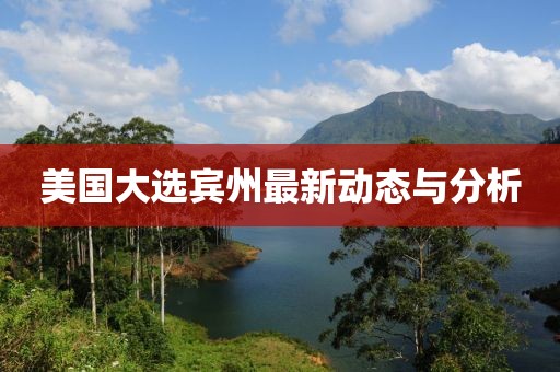 美国大选宾州最新动态与分析