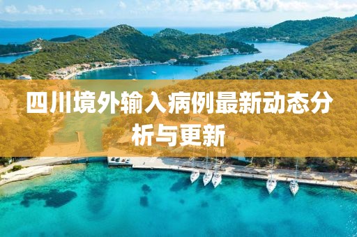 四川境外输入病例最新动态分析与更新