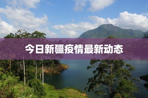 今日新疆疫情最新动态