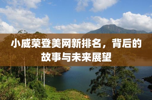 小威荣登美网新排名，背后的故事与未来展望