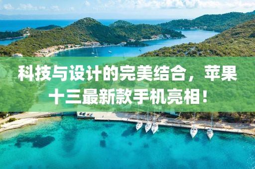 科技与设计的完美结合，苹果十三最新款手机亮相！