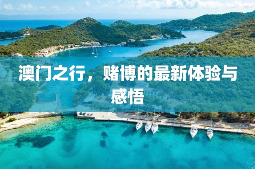 澳门之行，赌博的最新体验与感悟