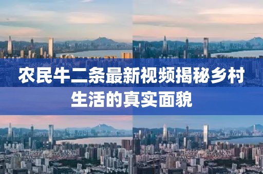 农民牛二条最新视频揭秘乡村生活的真实面貌