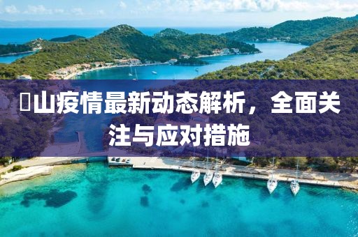 黒山疫情最新动态解析，全面关注与应对措施