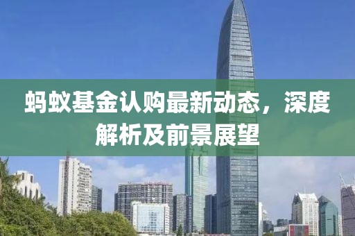 蚂蚁基金认购最新动态，深度解析及前景展望