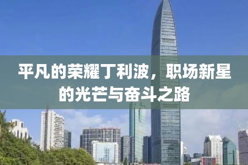 平凡的荣耀丁利波，职场新星的光芒与奋斗之路