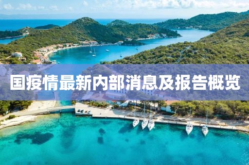 国疫情最新内部消息及报告概览
