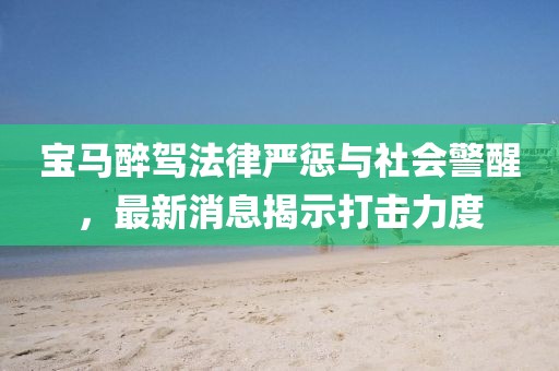 宝马醉驾法律严惩与社会警醒，最新消息揭示打击力度