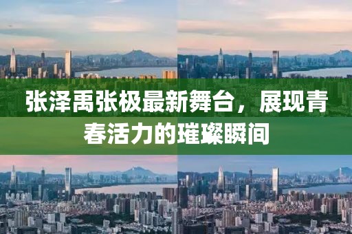 张泽禹张极最新舞台，展现青春活力的璀璨瞬间
