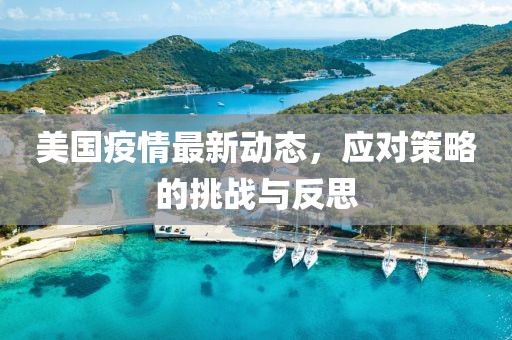美国疫情最新动态，应对策略的挑战与反思