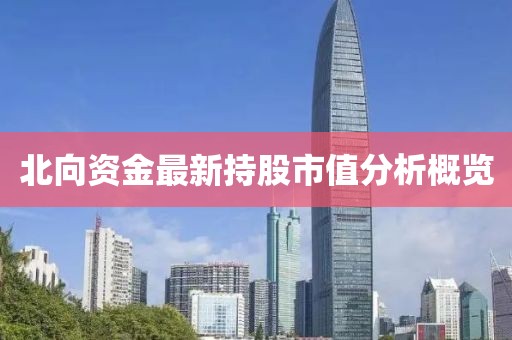 北向资金最新持股市值分析概览