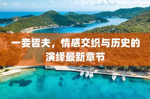 一妾皆夫，情感交织与历史的演绎最新章节
